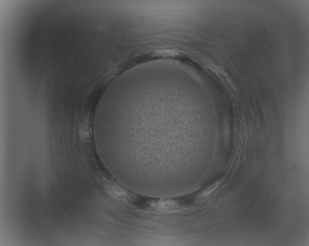 X0000075330517200609081101