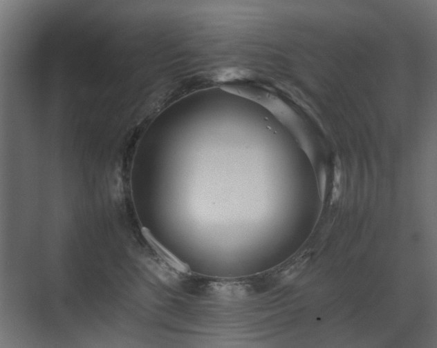 X0000075330520200609081101