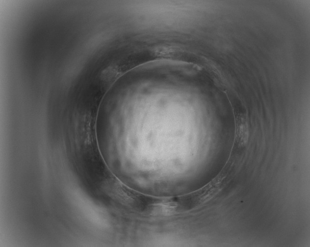 X0000075330525200609081101