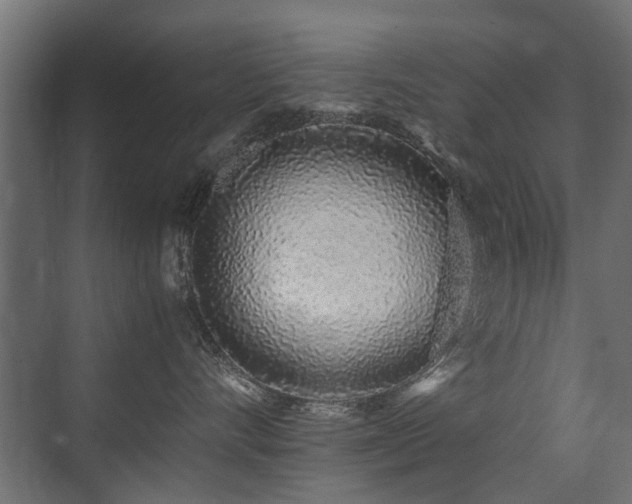 X0000075330528200609081101