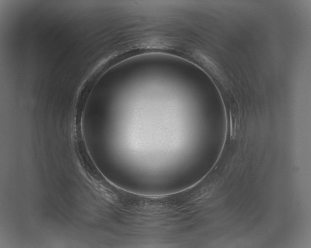 X0000075330531200609081100