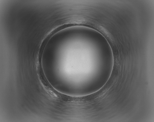 X0000075330532200609081100