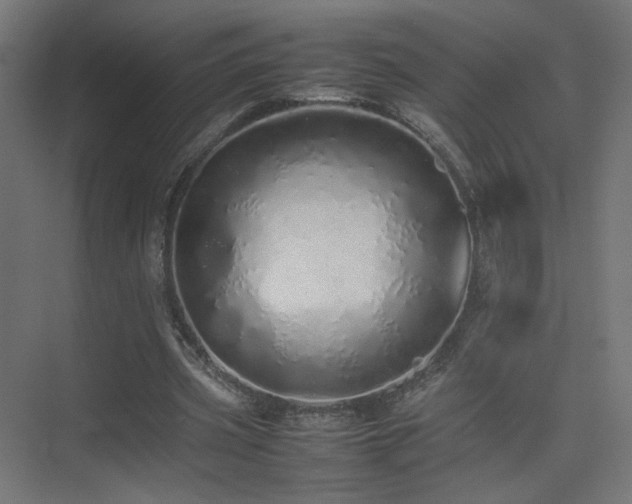 X0000075330533200609081100