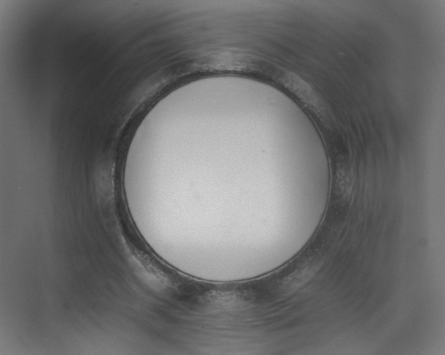 X0000075330534200609081100