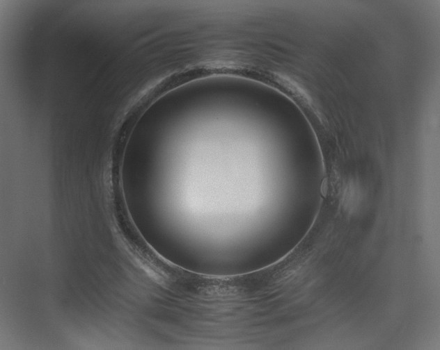 X0000075330535200609081100