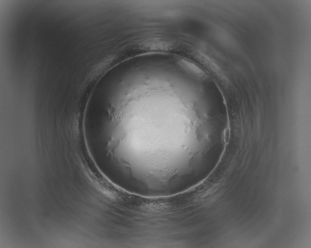 X0000075330537200609081100