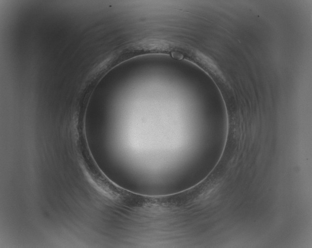 X0000075330538200609081100