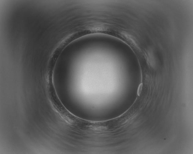 X0000075330539200609081100