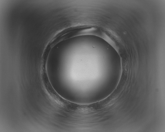 X0000075330540200609081100