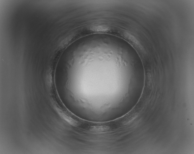 X0000075330541200609081100