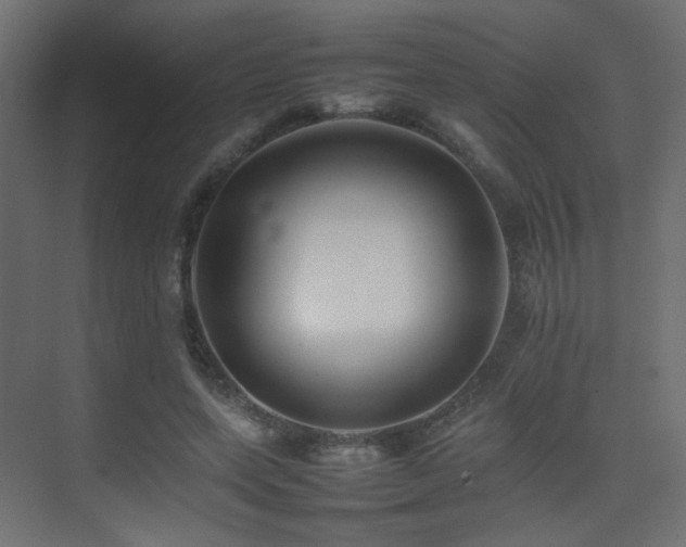 X0000075330543200609081100