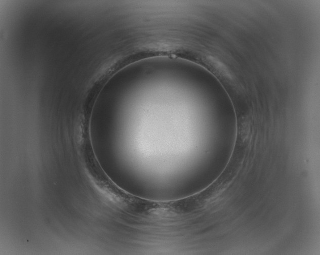 X0000075330544200609081100