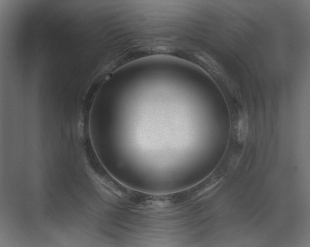 X0000075330552200609081100