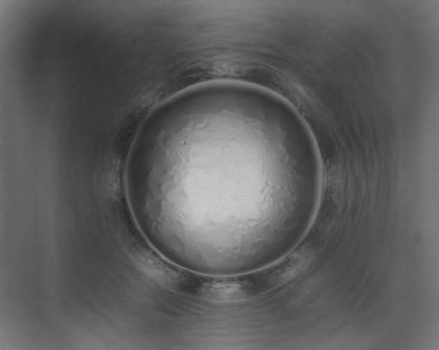 X0000075330554200609081100