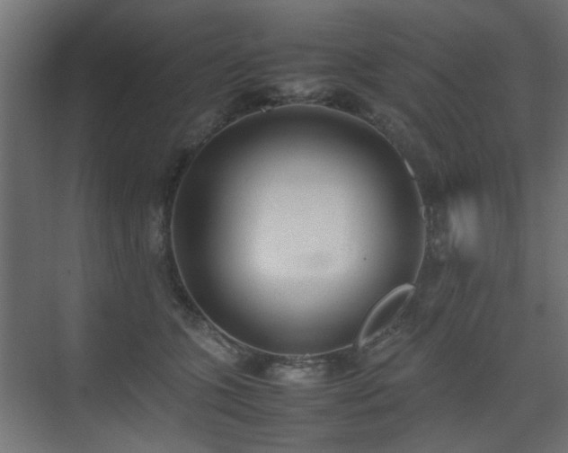 X0000075330563200609081100