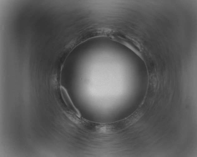 X0000075330564200609081100