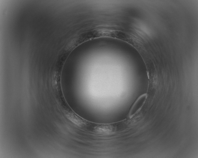 X0000075330567200609081100