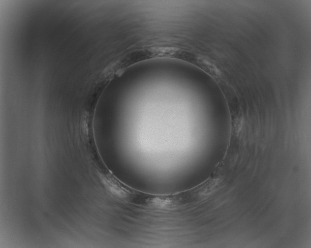 X0000075330570200609081100