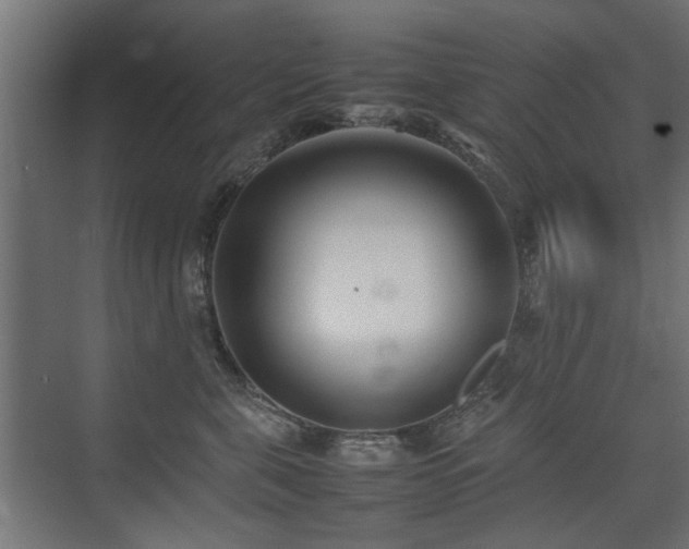 X0000075330571200609081100