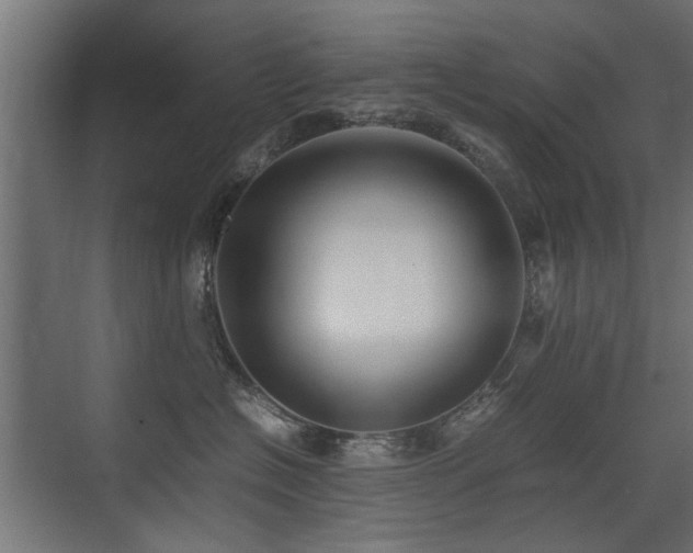 X0000075330574200609081101
