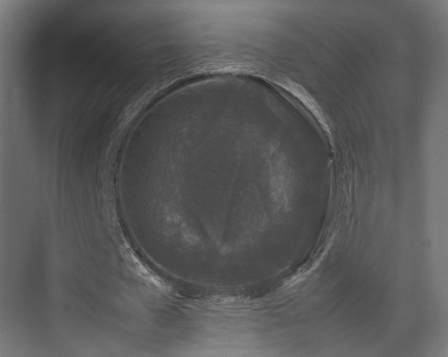 X0000075330577200609081100