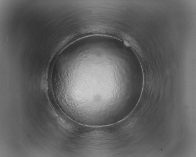 X0000075330578200609081100