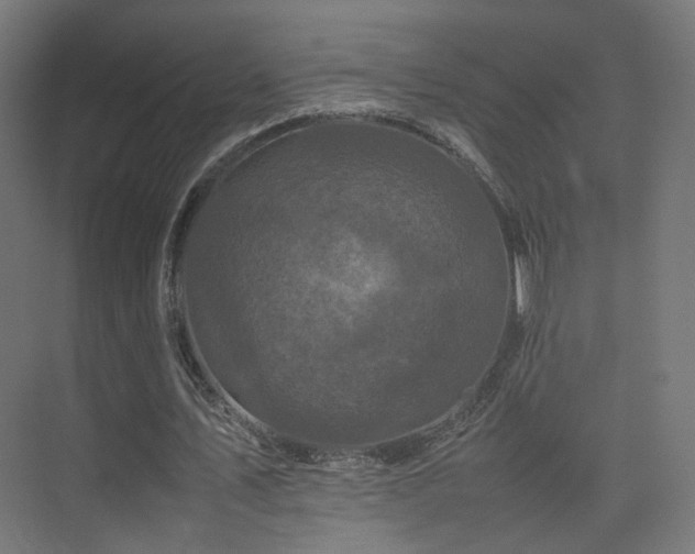 X0000075330579200609081100