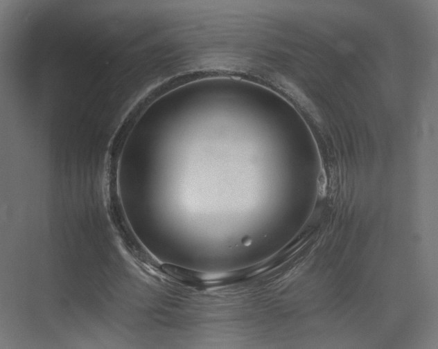 X0000075330580200609081100