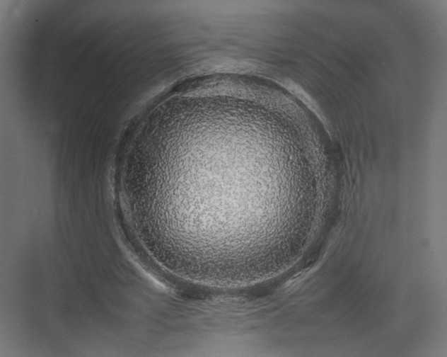 X0000075330581200609081100
