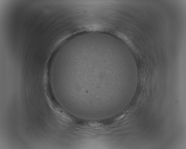 X0000075330583200609081100