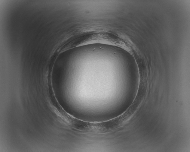 X0000075330585200609081100
