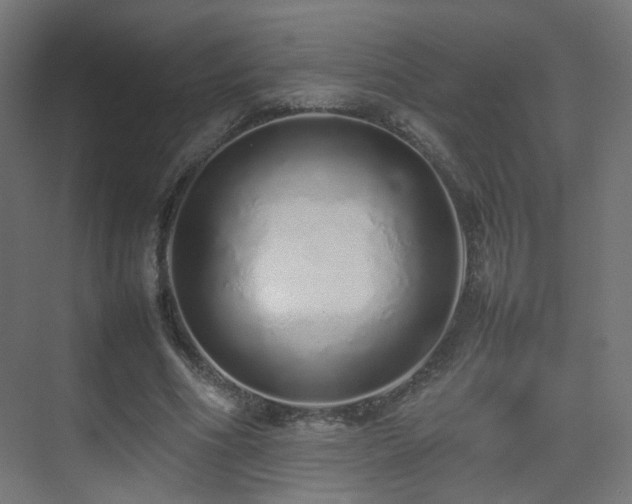 X0000075330586200609081100