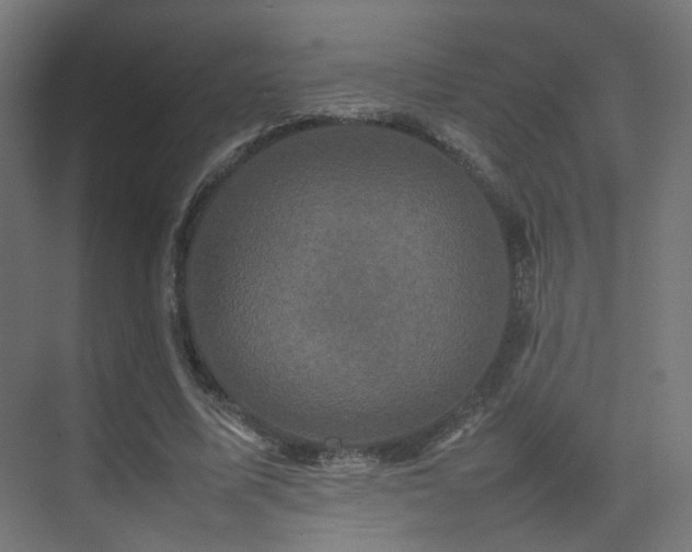 X0000075330587200609081100