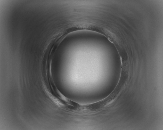 X0000075330589200609081100