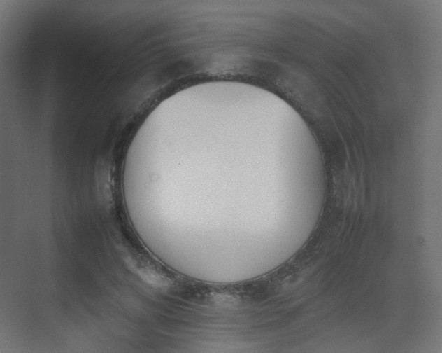 X0000075330592200609081100