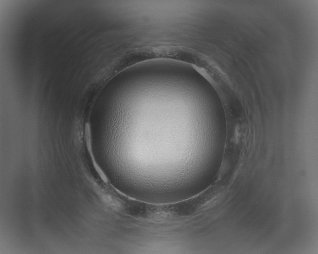 X0000075330593200609081059