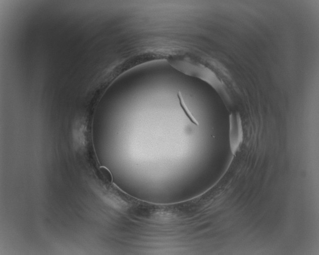 X0000075330596200609081059