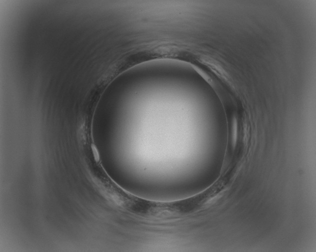 X0000075330597200609081059