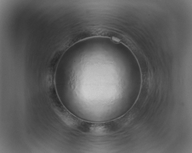 X0000075330602200609081059