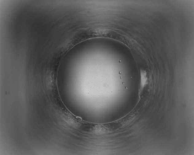 X0000075330608200609081059
