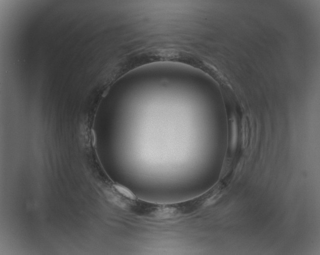 X0000075330609200609081059