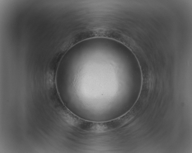 X0000075330610200609081059