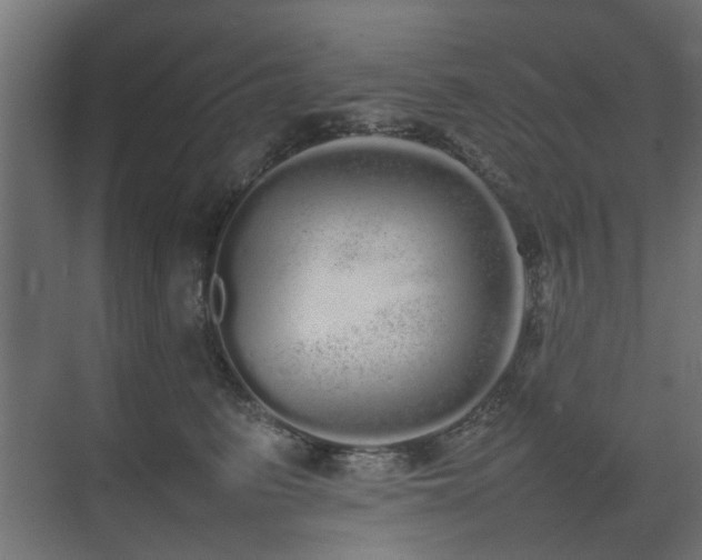 X0000075330615200609081059