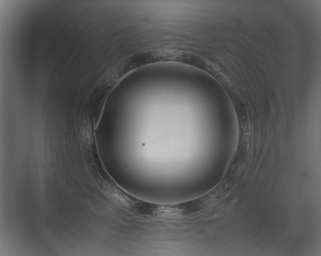 X0000075330617200609081059