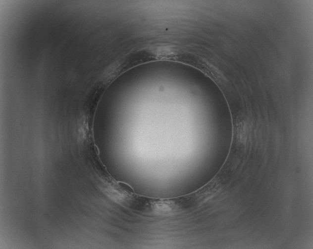 X0000075330618200609081059