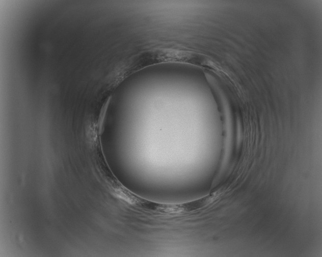 X0000075330621200609081059