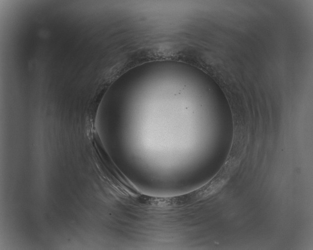 X0000075330624200609081059