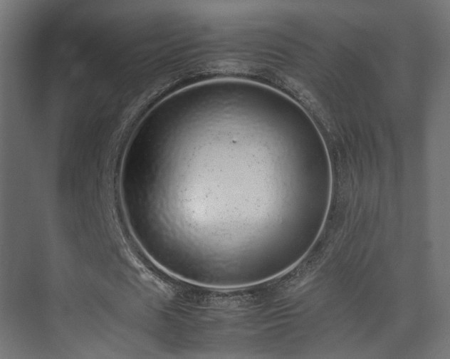 X0000075330625200609081058