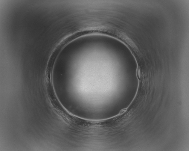 X0000075330628200609081058