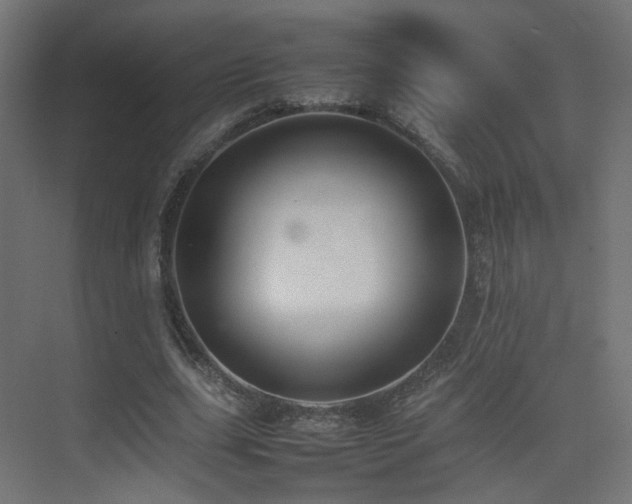 X0000075330631200609081058
